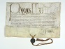 Soubor dvou erbovních privilegií, jimiž byl polepšován znak města Plzně (1466-1578)