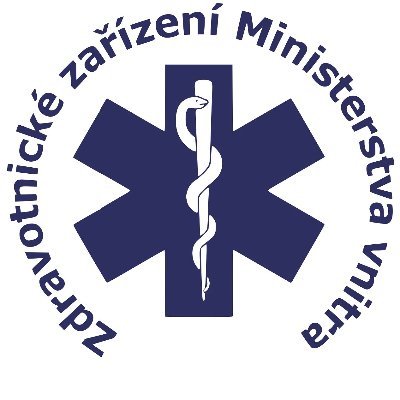 logo ZZMV.jpg
